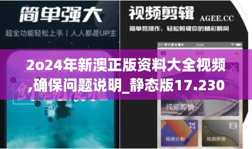 2o24年新澳正版資料大全視頻,確保問題說明_靜態(tài)版17.230