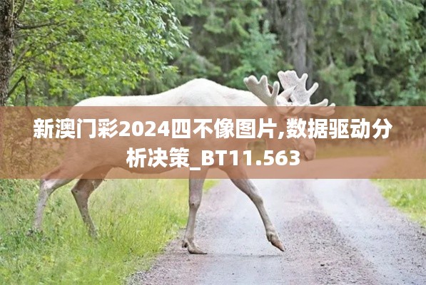 新澳門彩2024四不像圖片,數據驅動分析決策_BT11.563