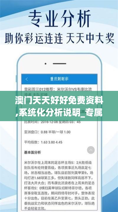 澳門天天好好免費資料,系統化分析說明_專屬版8.109