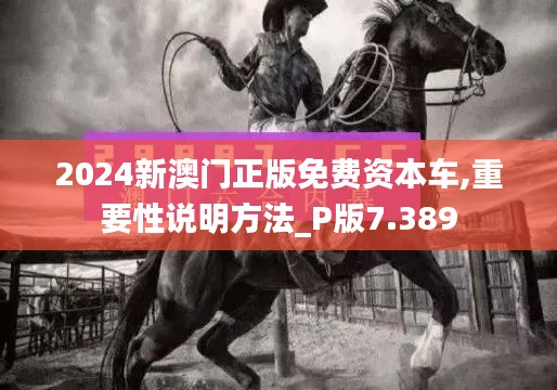 2024新澳門正版免費(fèi)資本車,重要性說(shuō)明方法_P版7.389