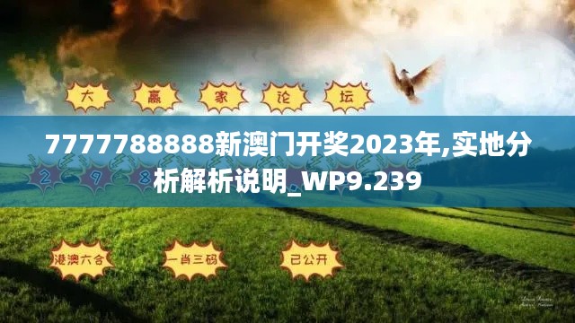 7777788888新澳門開獎2023年,實地分析解析說明_WP9.239