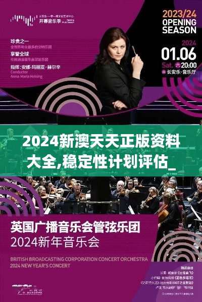 2024新澳天天正版資料大全,穩定性計劃評估_微型版10.280