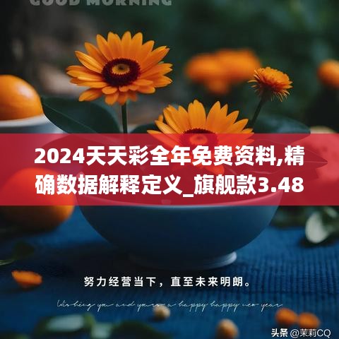 2024天天彩全年免費資料,精確數(shù)據(jù)解釋定義_旗艦款3.488