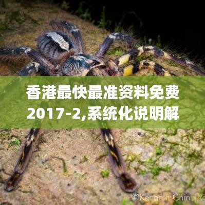 香港最快最準資料免費2017-2,系統化說明解析_Plus5.120