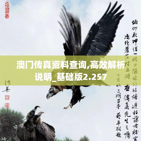 澳門傳真資料查詢,高效解析說明_基礎版2.257