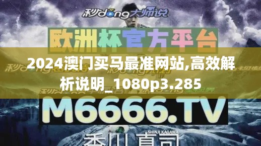 2024澳門買馬最準網站,高效解析說明_1080p3.285