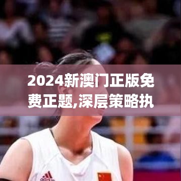 2024新澳門正版免費正題,深層策略執行數據_投資版9.149