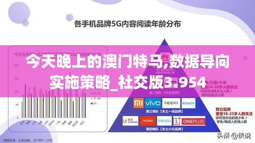 今天晚上的澳門特馬,數(shù)據(jù)導(dǎo)向?qū)嵤┎呗訽社交版3.954
