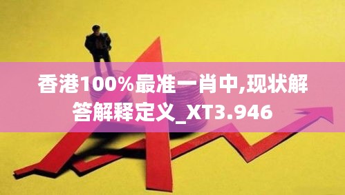 香港100%最準一肖中,現狀解答解釋定義_XT3.946