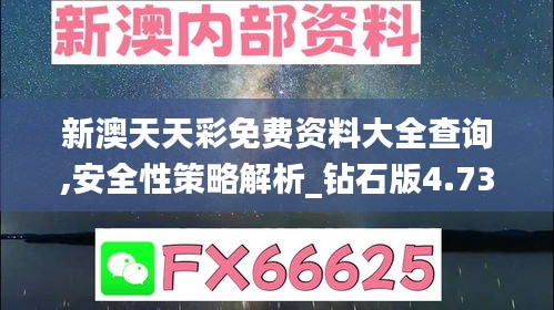 新澳天天彩免費資料大全查詢,安全性策略解析_鉆石版4.730