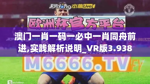 澳門一肖一碼一必中一肖同舟前進,實踐解析說明_VR版3.938