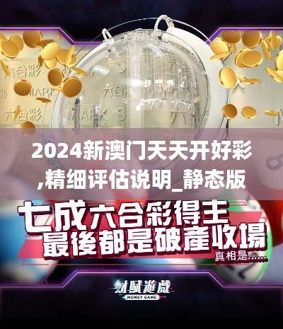 2024新澳門天天開好彩,精細評估說明_靜態版9.341