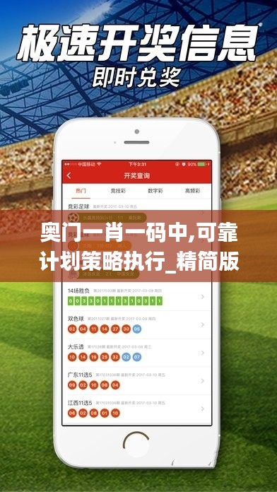 奧門一肖一碼中,可靠計(jì)劃策略執(zhí)行_精簡版1.773
