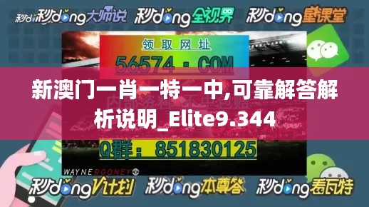 新澳門一肖一特一中,可靠解答解析說明_Elite9.344