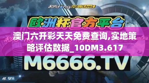澳門六開彩天天免費查詢,實地策略評估數(shù)據(jù)_10DM3.617