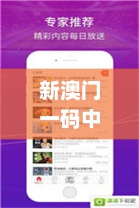 新澳門一碼中精準一碼免費中特,持久性方案設(shè)計_R版6.502