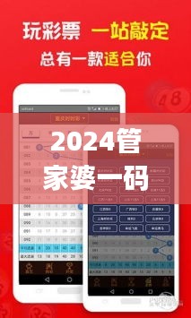 2024管家婆一碼一肖資料,實時解答解釋定義_PalmOS8.535