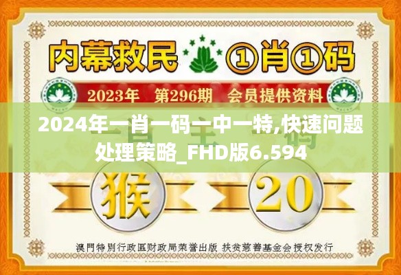 2024年一肖一碼一中一特,快速問題處理策略_FHD版6.594