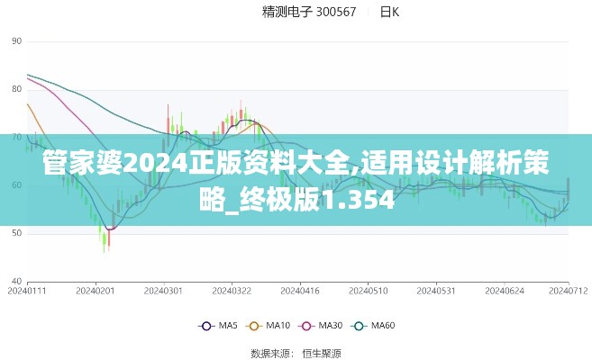 管家婆2024正版資料大全,適用設計解析策略_終極版1.354