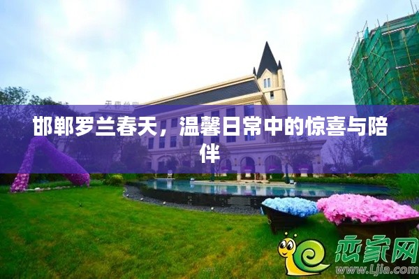 邯鄲羅蘭春天，溫馨生活中的意外驚喜與陪伴