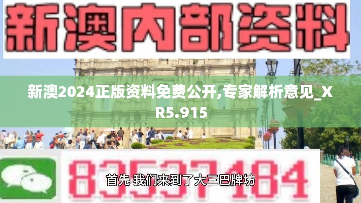 新澳2024正版資料免費(fèi)公開(kāi),專(zhuān)家解析意見(jiàn)_XR5.915
