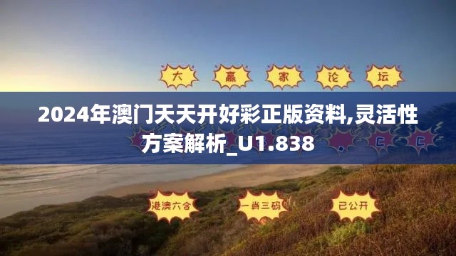 2024年澳門天天開好彩正版資料,靈活性方案解析_U1.838