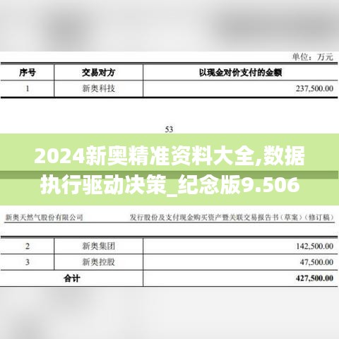 2024新奧精準(zhǔn)資料大全,數(shù)據(jù)執(zhí)行驅(qū)動決策_(dá)紀(jì)念版9.506