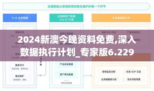 2024新澳今晚資料免費,深入數據執行計劃_專家版6.229
