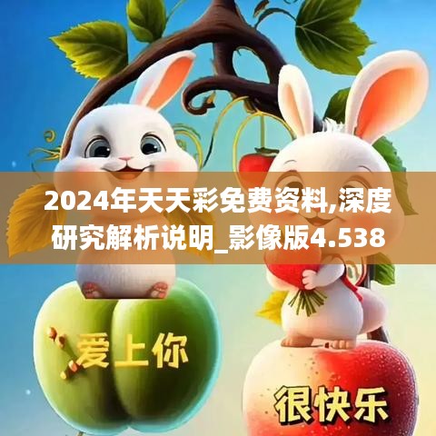 2024年天天彩免費資料,深度研究解析說明_影像版4.538