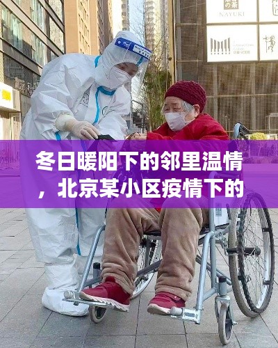 北京小區鄰里溫情，疫情下的冬日暖陽溫馨日常故事