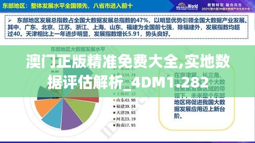 澳門正版精準免費大全,實地數據評估解析_4DM1.282