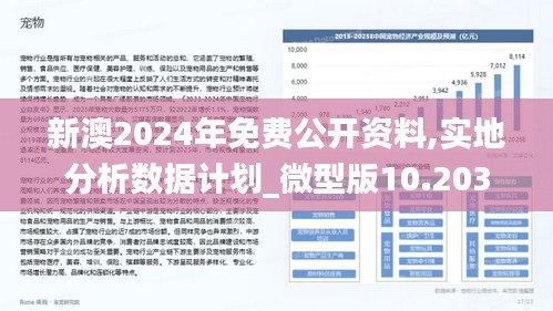 新澳2024年免費公開資料,實地分析數據計劃_微型版10.203
