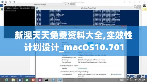 新澳天天免費資料大全,實效性計劃設計_macOS10.701