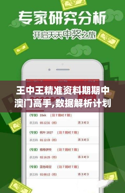 王中王精準資料期期中澳門高手,數據解析計劃導向_3K12.447