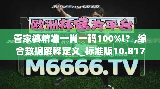 管家婆精準一肖一碼100%l？,綜合數據解釋定義_標準版10.817