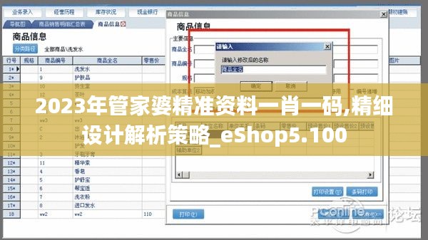 2023年管家婆精準資料一肖一碼,精細設計解析策略_eShop5.100
