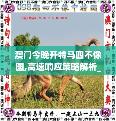 澳門今晚開特馬四不像圖,高速響應策略解析_尊貴款3.383