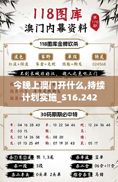 今晚上澳門開什么,持續計劃實施_S16.242
