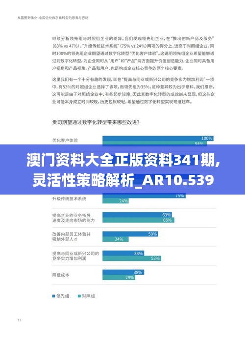 澳門資料大全正版資料341期,靈活性策略解析_AR10.539