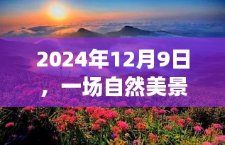 2024年尋找愛情之旅，自然美景的靜謐角落之旅