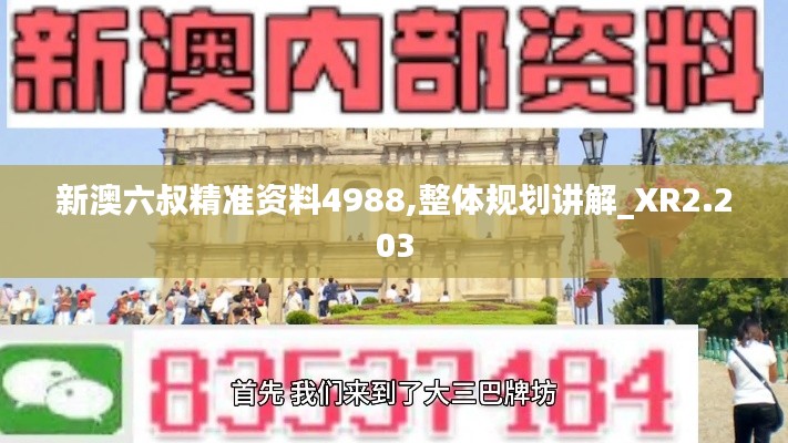 新澳六叔精準資料4988,整體規劃講解_XR2.203