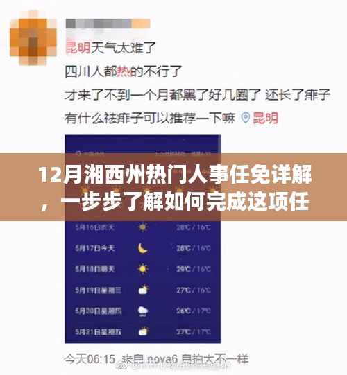 12月湘西州熱門人事任免詳解，一步步了解如何完成這項任務