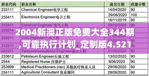 2004新澳正版免費大全344期,可靠執行計劃_定制版4.521