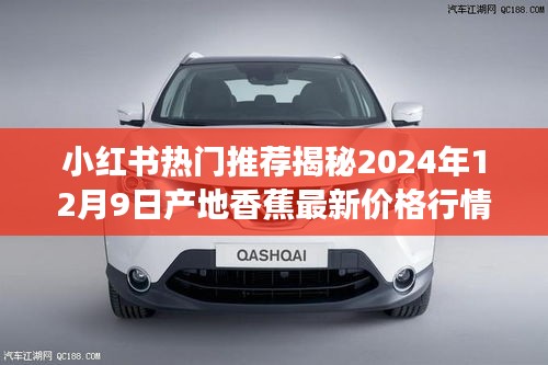 炙手可熱 第2頁