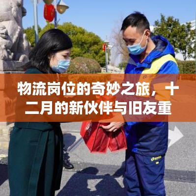 物流崗位奇妙之旅，新伙伴與舊友重逢的十二月記憶