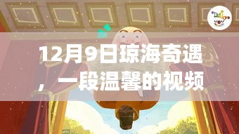 12月9日瓊海奇遇，一段溫馨的視頻故事