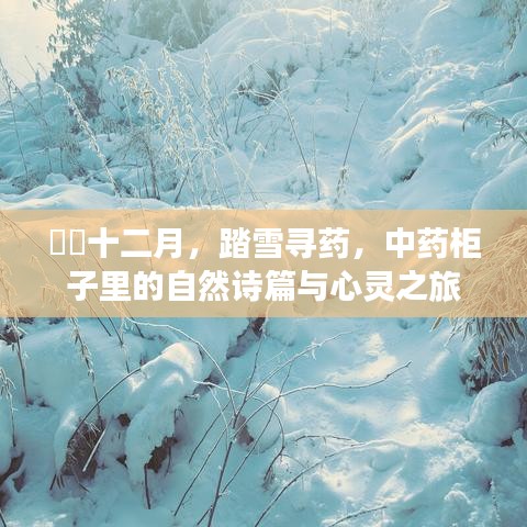 物是人非 第2頁(yè)