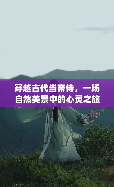 穿越古代當(dāng)?shù)凼蹋粓鲎匀幻谰爸械男撵`之旅
