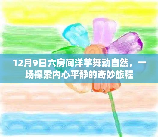 探索內心平靜之旅，六房間洋芋舞動自然的奇妙體驗