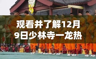 觀看少林寺一龍熱門比賽的全方位步驟指南（12月9日）